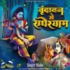 About Vrindavan Main Radheshyam Song